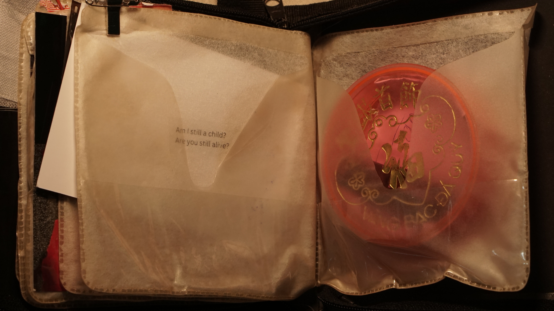 (signed) This Is Not What Thought / Yuri Hasegawa